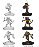 D&D Nolzur's Marvelous Miniatures: W01 Goblins