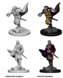 D&D Nolzur's Marvelous Miniatures: W01 Vampires
