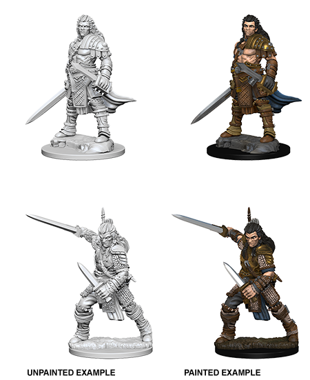 Pathfinder Deep Cuts Unpainted Miniatures: W01 Human Male Fighter