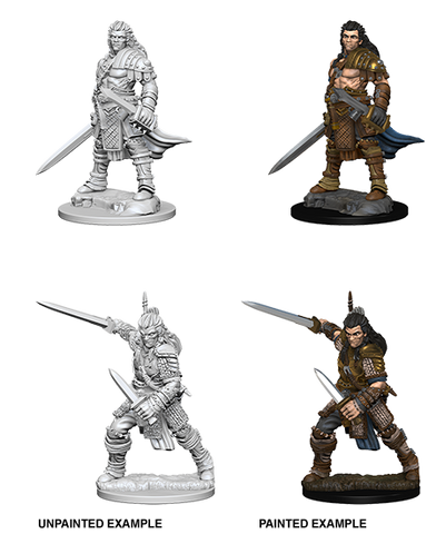 Pathfinder Deep Cuts Unpainted Miniatures: W01 Human Male Fighter