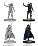 Pathfinder Deep Cuts Unpainted Miniatures: W01 Human Rogue Female