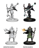 Pathfinder Deep Cuts Unpainted Miniatures: W01 Elf Male Sorcerer