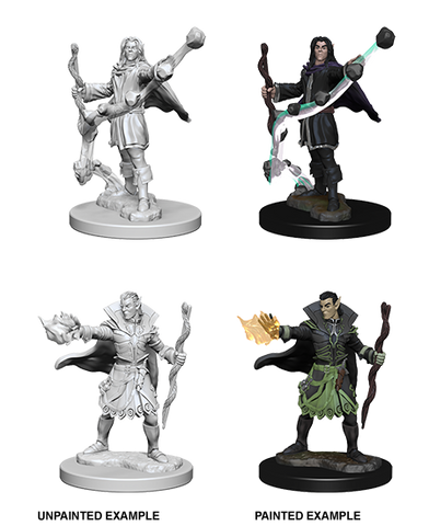 Pathfinder Deep Cuts Unpainted Miniatures: W01 Elf Male Sorcerer