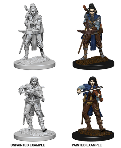 Pathfinder Deep Cuts Unpainted Miniatures: W04 Elf Female Bard