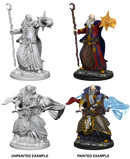 D&D Nolzur's Marvelous Unpainted Miniatures: W01 Human Male Wizard