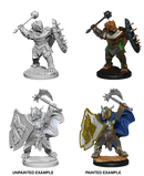 D&D Nolzur's Marvelous Miniatures: W04 Dragonborn Paladin Male