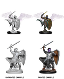 D&D Nolzur's Marvelous Miniatures: W05 Aasimar Male Paladin