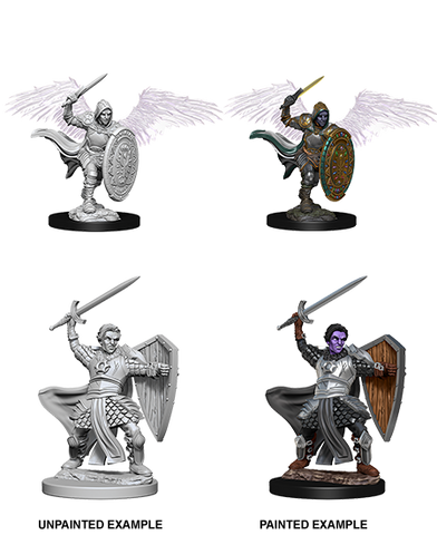 D&D Nolzur's Marvelous Miniatures: W05 Aasimar Male Paladin