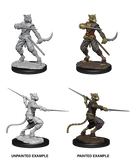 D&D Nolzur's Marvelous Unpainted Miniatures: W07 Tabaxi Male Rogue