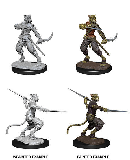 D&D Nolzur's Marvelous Unpainted Miniatures: W07 Tabaxi Male Rogue