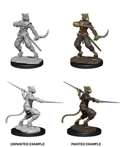 D&D Nolzur's Marvelous Unpainted Miniatures: W07 Tabaxi Male Rogue