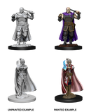 D&D Nolzur's Marvelous Unpainted Miniatures: W08 Human Ranger & Moon Elf Sorcerer