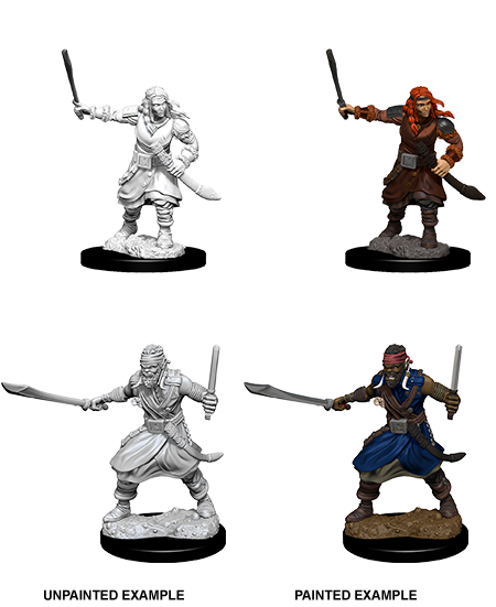 D&D Nolzur's Marvelous Unpainted Miniatures: W08 Bandits