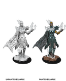 D&D Nolzur's Marvelous Unpainted Miniatures: W08 Cloud Giant