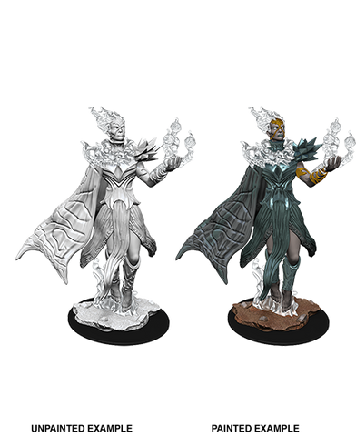 D&D Nolzur's Marvelous Unpainted Miniatures: W08 Cloud Giant