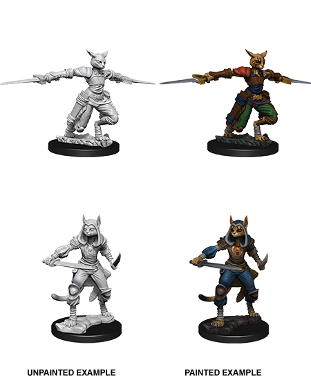 D&D Nolzur's Marvelous Unpainted Miniatures: W09 Tabaxi Rogue Female