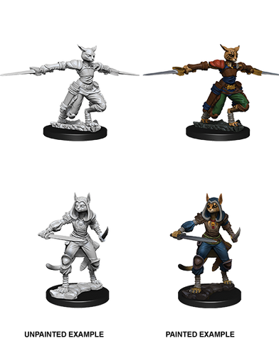 D&D Nolzur's Marvelous Unpainted Miniatures: W09 Tabaxi Rogue Female