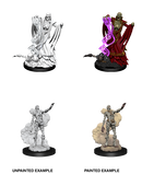 D&D Nolzur's Marvelous Unpainted Miniatures: W11 Lich & Mummy Lord