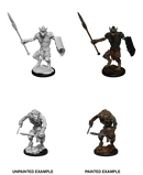 D&D Nolzur's Marvelous Miniatures: W12 Gnoll & Gnoll Flesh Gnawer