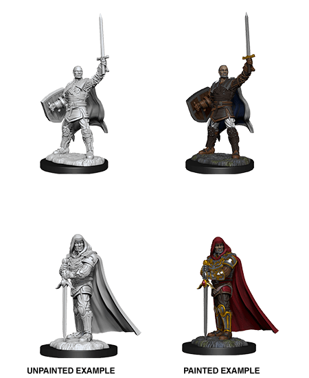 D&D Nolzur's Marvelous Unpainted Miniatures: W13 Human Paladin Male