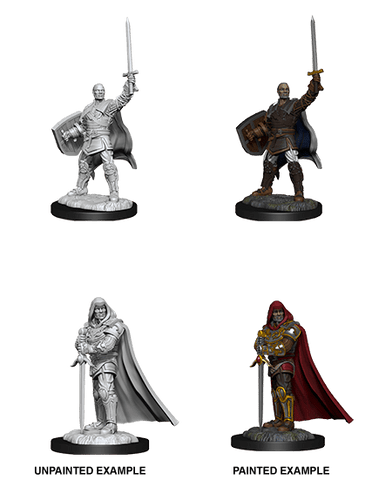 D&D Nolzur's Marvelous Unpainted Miniatures: W13 Human Paladin Male