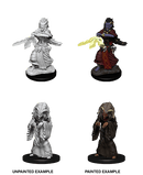D&D Nolzur's Marvelous Unpainted Miniatures: W14 Night Hag & Dusk Hag