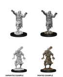 D&D Nolzur's Marvelous Unpainted Miniatures: W14 Scarecrow & Stone Cursed