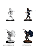 Pathfinder Deep Cuts Unpainted Miniatures: W14 Human Rogue Female