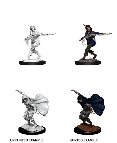 Pathfinder Deep Cuts Unpainted Miniatures: W14 Human Rogue Female