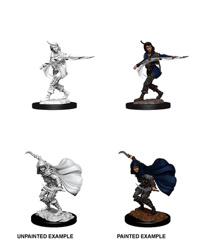 Pathfinder Deep Cuts Unpainted Miniatures: W14 Human Rogue Female