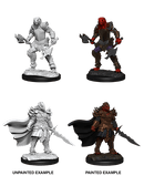 D&D Nolzur's Marvelous Unpainted Miniatures: W15 Dragonborn Fighter Female