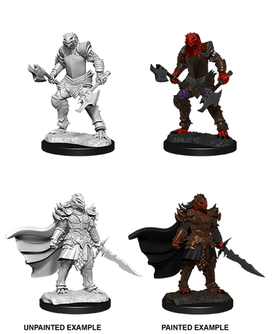 D&D Nolzur's Marvelous Unpainted Miniatures: W15 Dragonborn Fighter Female