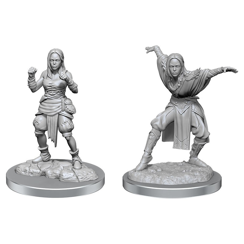 Pathfinder Deep Cuts Unpainted Miniatures:  W21 Half-Elf Monk Female