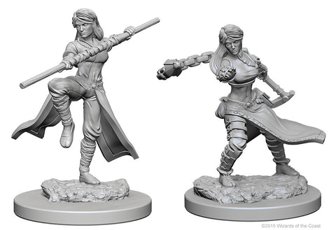 D&D Nolzur's Marvelous Unpainted Miniatures: W01 Human Female Monk