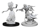 D&D Nolzur's Marvelous Miniatures: W03 Wraith & Specter