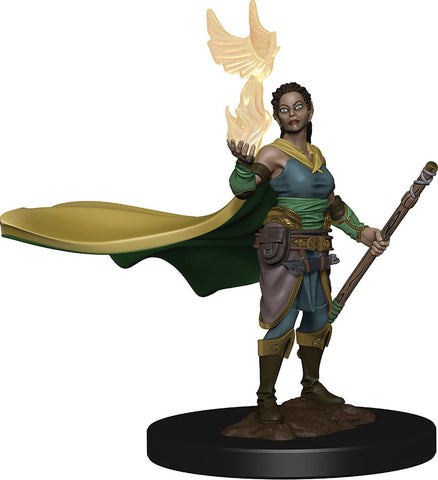 D&D Icons of the Realms: Premium Painted Figures: W01 Elf Female Druid