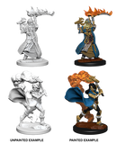 Pathfinder Deep Cuts Unpainted Miniatures: W01 Human Female Cleric