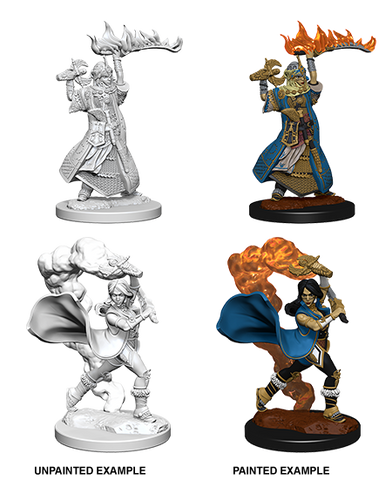 Pathfinder Deep Cuts Unpainted Miniatures: W01 Human Female Cleric