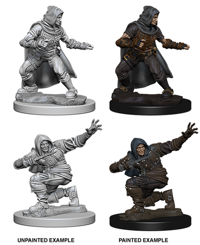 Pathfinder Deep Cuts Unpainted Miniatures: W01 Human Male Rogue
