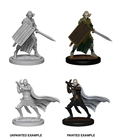 Pathfinder Deep Cuts Unpainted Miniatures: W02 Elf Male Paladin