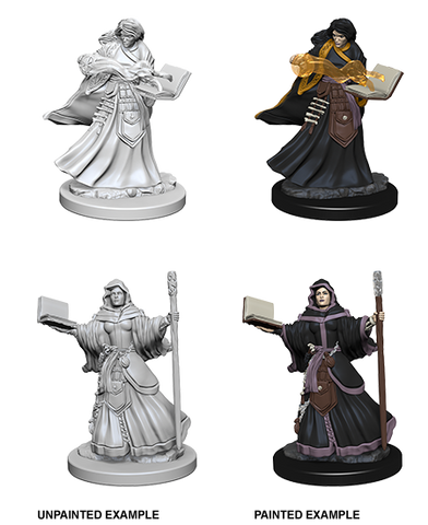 D&D Nolzur`s Marvelous Unpainted Miniatures: W01 Human Female Wizard
