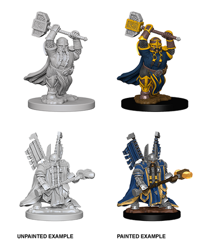 D&D Nolzur`s Marvelous Unpainted Miniatures: W04 Dwarf Male Paladin