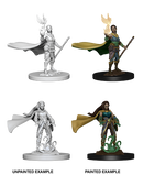 D&D Nolzur's Marvelous Unpainted Miniatures: W4 Elf Female Druid