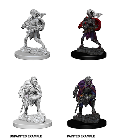 D&D Nolzur's Marvelous Unpainted Miniatures: W4 Drow