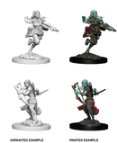 D&D Nolzur's Marvelous Unpainted Miniatures: W4 Air Genasi Female Rogue