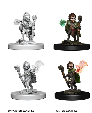 Pathfinder Deep Cuts Unpainted Miniatures: W05 Gnome Male Druid