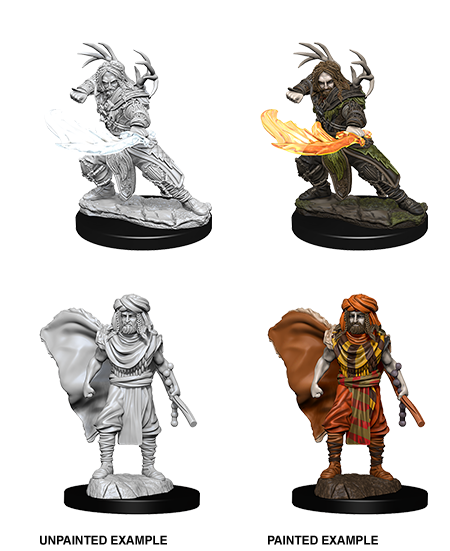 D&D Nolzur's Marvelous Unpainted Miniatures: W6 Male Human Druid