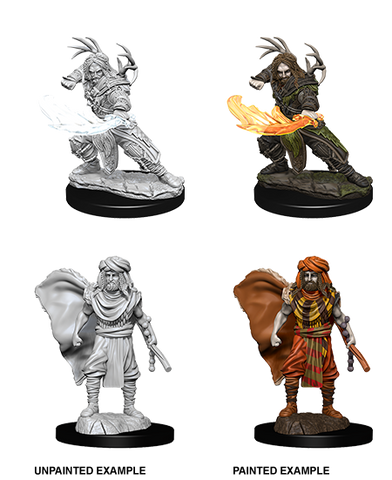 D&D Nolzur's Marvelous Unpainted Miniatures: W6 Male Human Druid