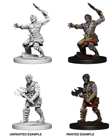 D&D Nolzur's Marvelous Unpainted Miniatures: W6 Nameless One
