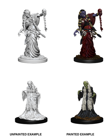 D&D Nolzur's Marvelous Unpainted Miniatures: W06 Green Hag & Night Hag
